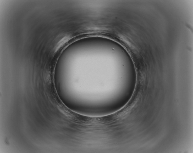 X0000097821259200803141133