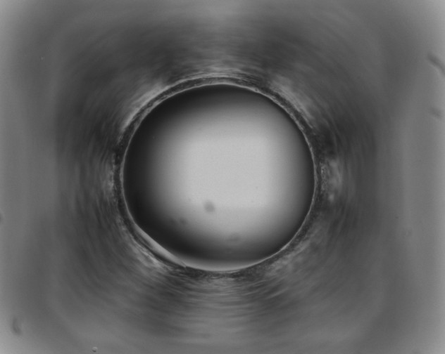 X0000097821260200803141133