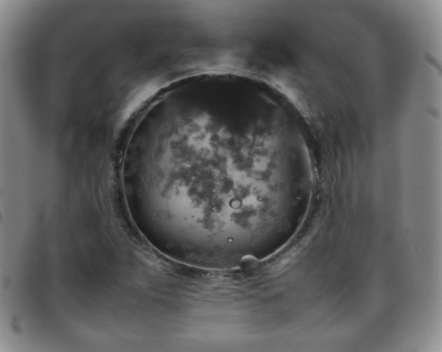 X0000097821263200803141133