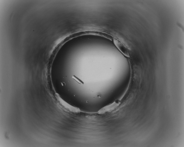 X0000097821264200803141132