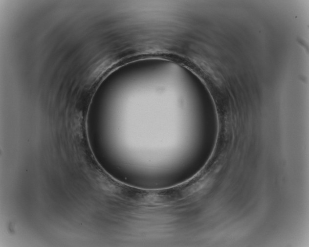 X0000097821265200803141132