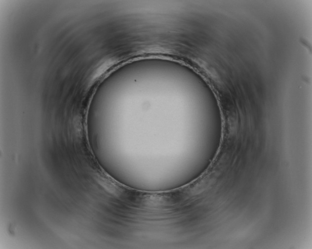 X0000097821266200803141132