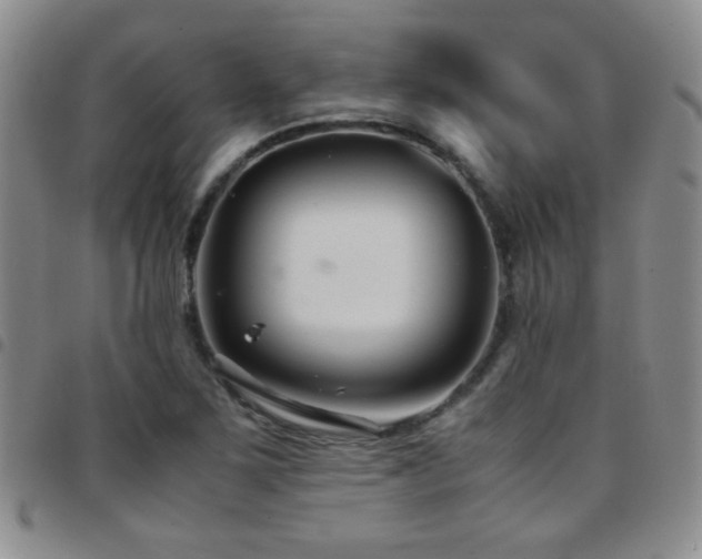 X0000097821267200803141132