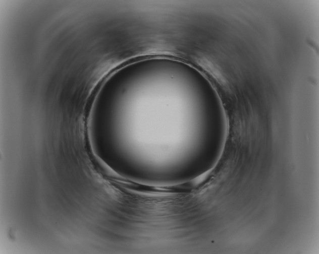 X0000097821268200803141132