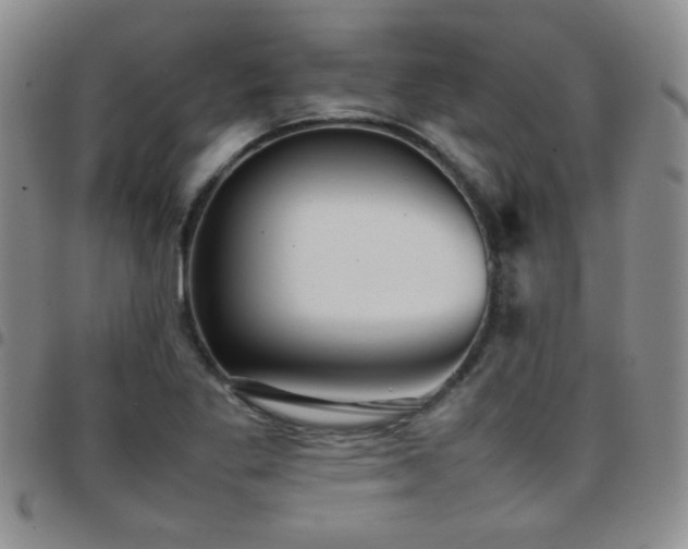 X0000097821269200803141132