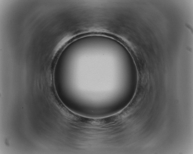 X0000097821271200803141132