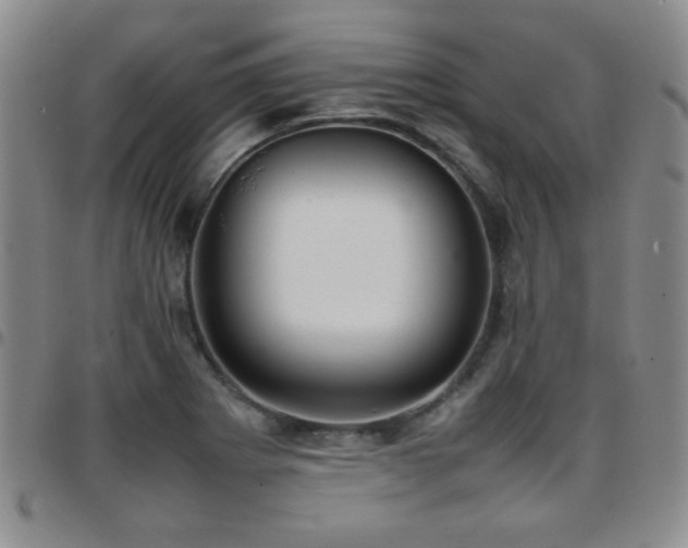 X0000097821273200803141132