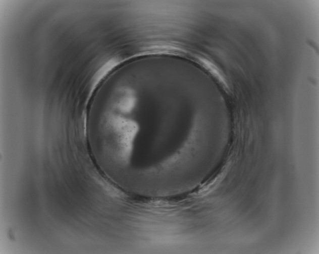 X0000097821275200803141132