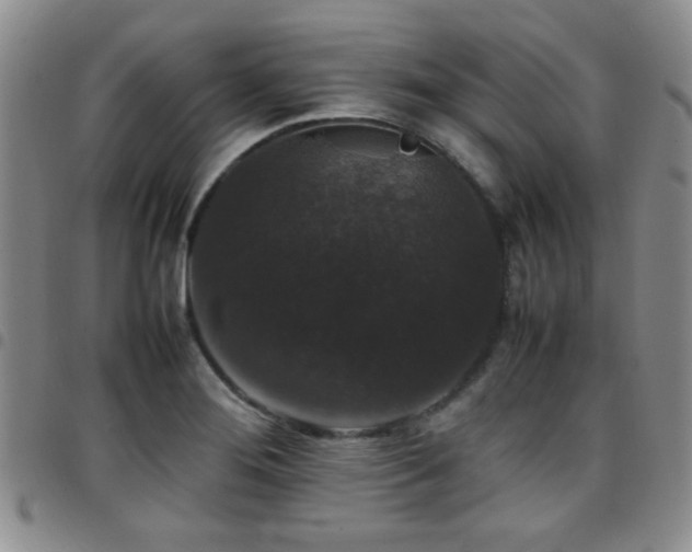 X0000097821276200803141132