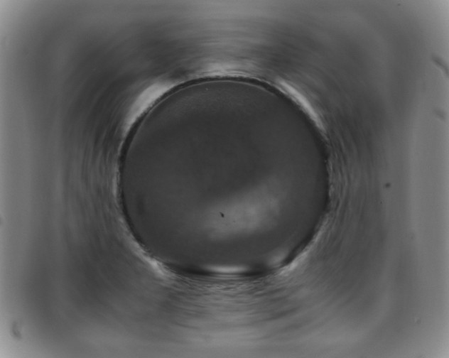 X0000097821277200803141132