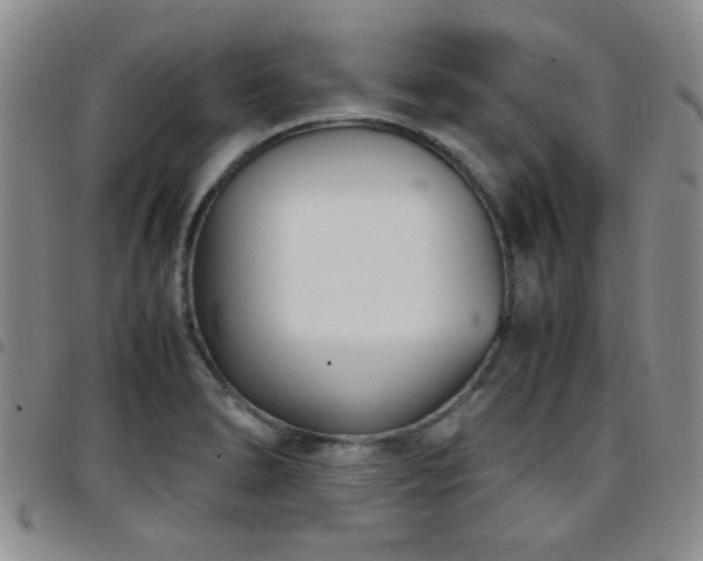 X0000097821278200803141132