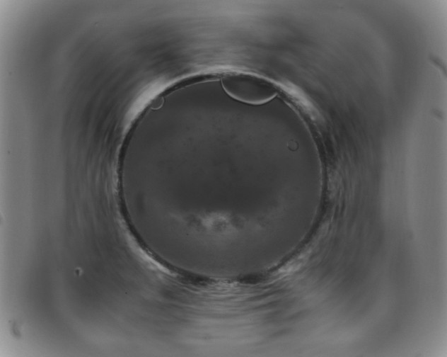 X0000097821279200803141132