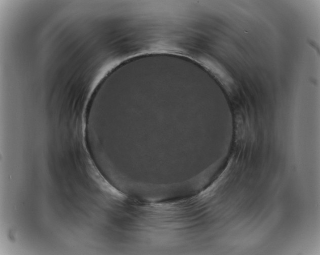 X0000097821280200803141132