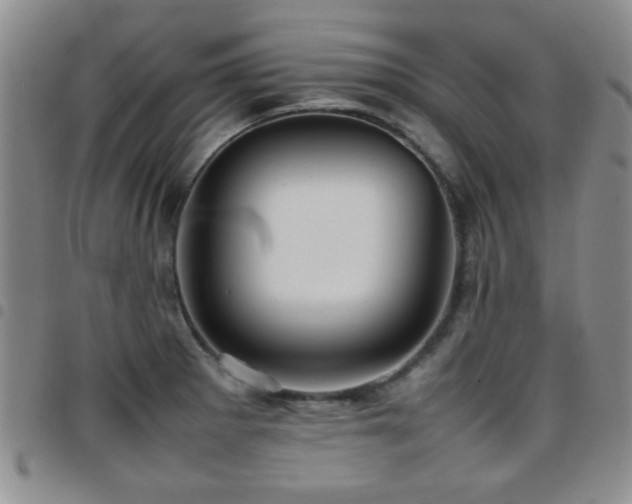 X0000097821281200803141132