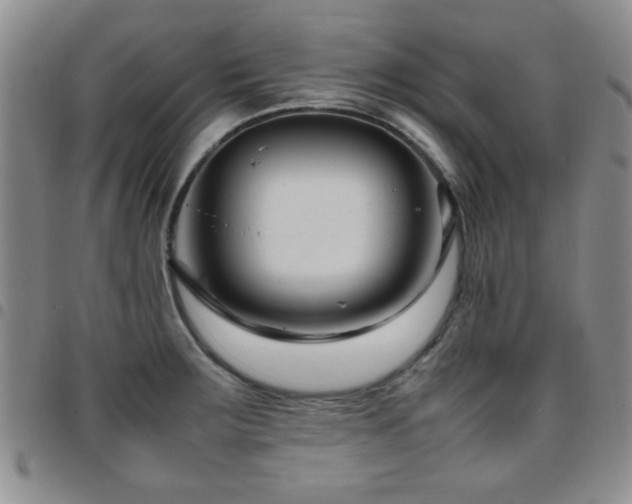 X0000097821283200803141132