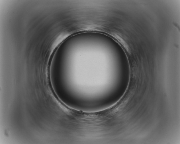 X0000097821285200803141132