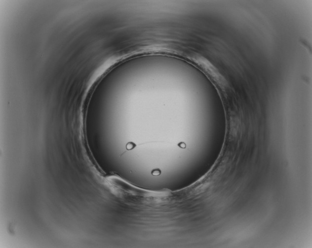 X0000097821286200803141132