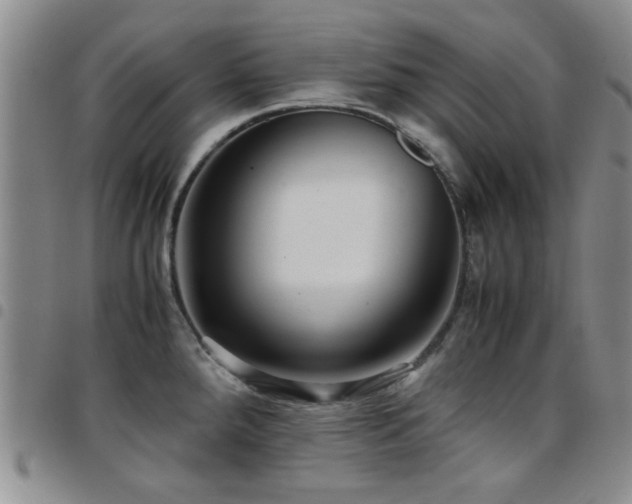 X0000097821288200803141132