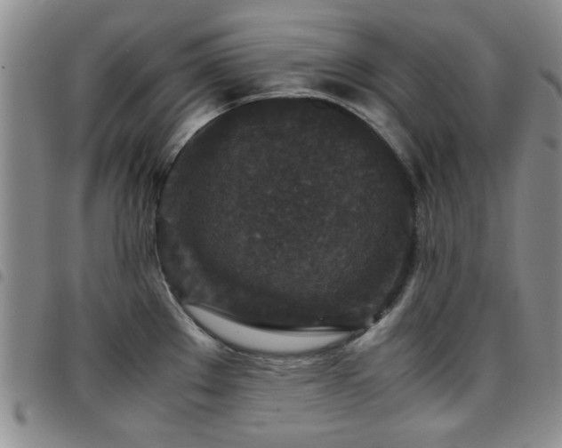 X0000097821289200803141132