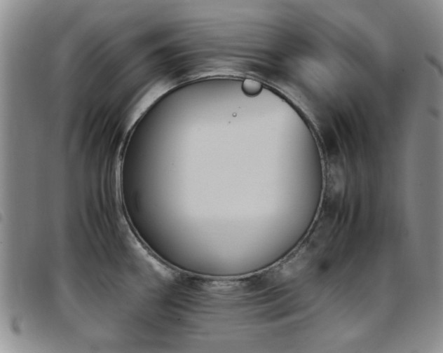 X0000097821290200803141132