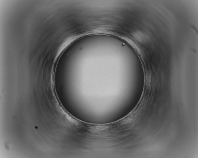 X0000097821294200803141132