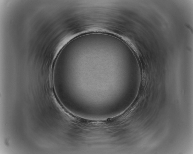 X0000097821295200803141132