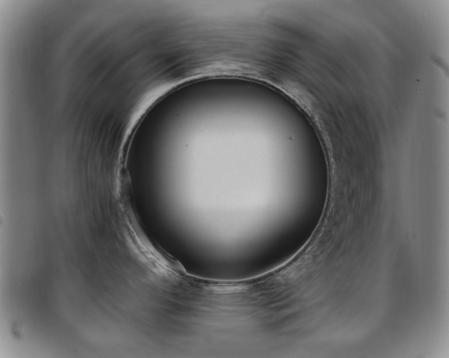 X0000097821296200803141132