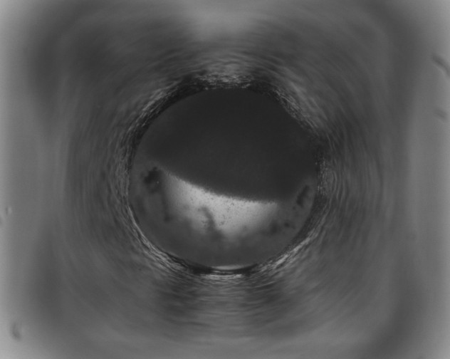 X0000097821297200803141131