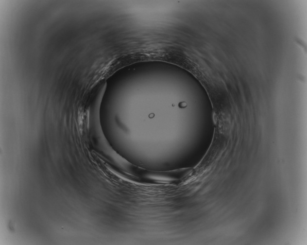 X0000097821298200803141131