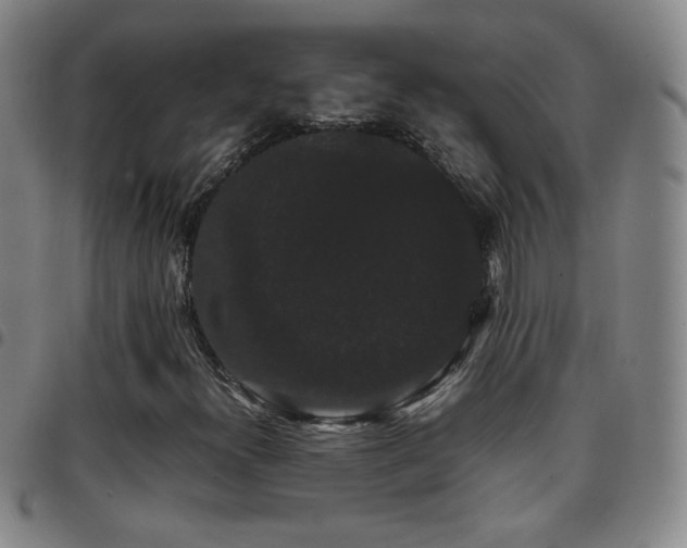 X0000097821300200803141131