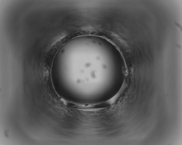 X0000097821302200803141131