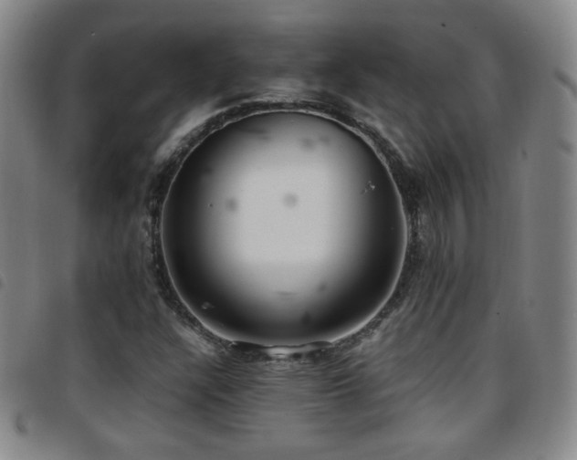 X0000097821304200803141132