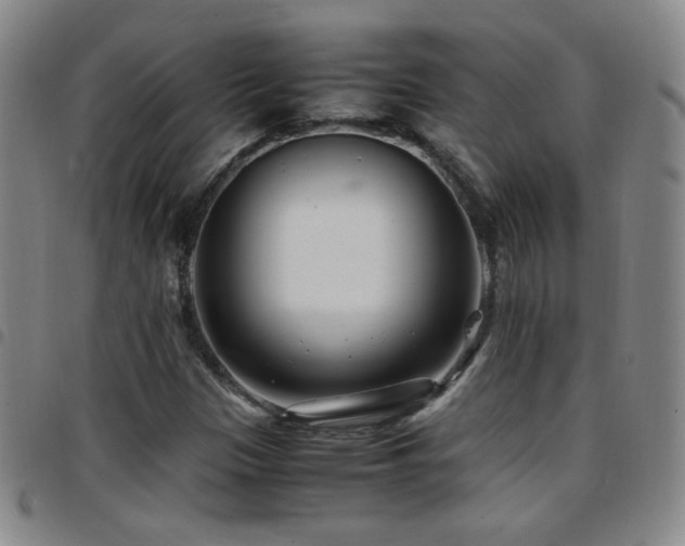 X0000097821305200803141132