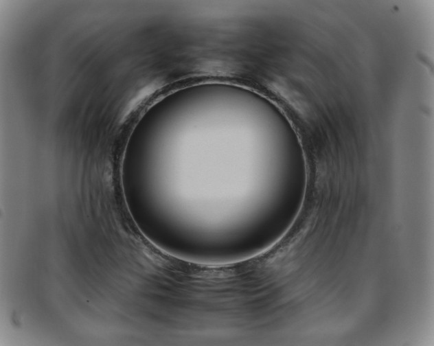 X0000097821307200803141132