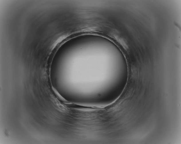 X0000097821308200803141132