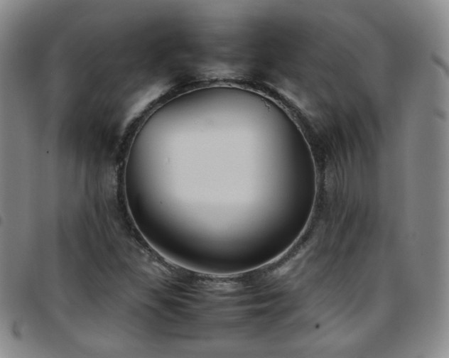 X0000097821309200803141132