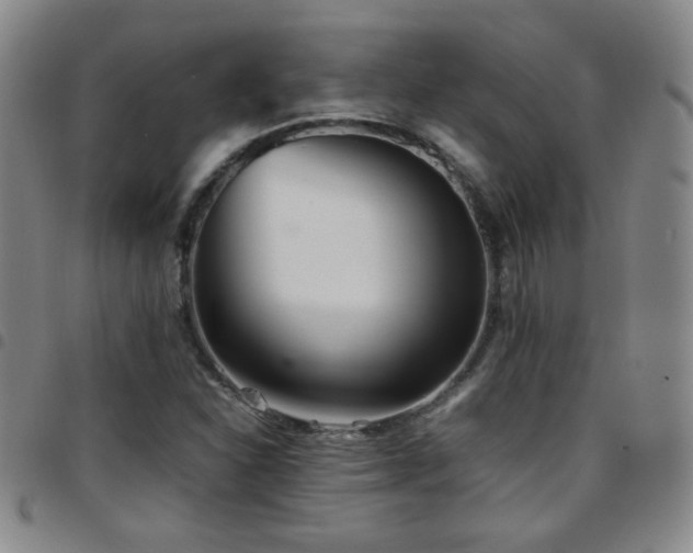 X0000097821310200803141132