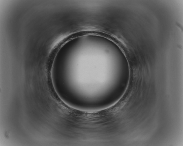 X0000097821311200803141132