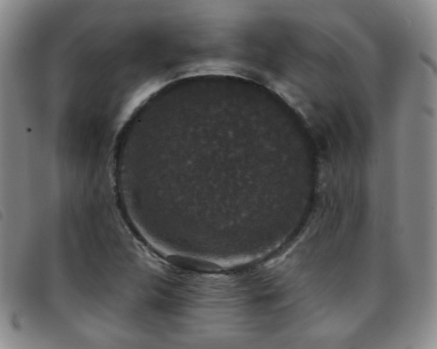 X0000097821312200803141132