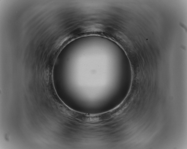 X0000097821313200803141132