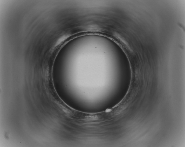 X0000097821315200803141132