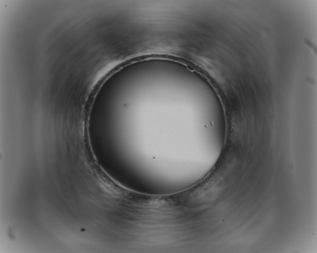 X0000097821316200803141132