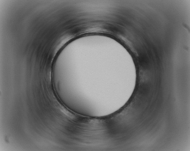 X0000097821322200803141132