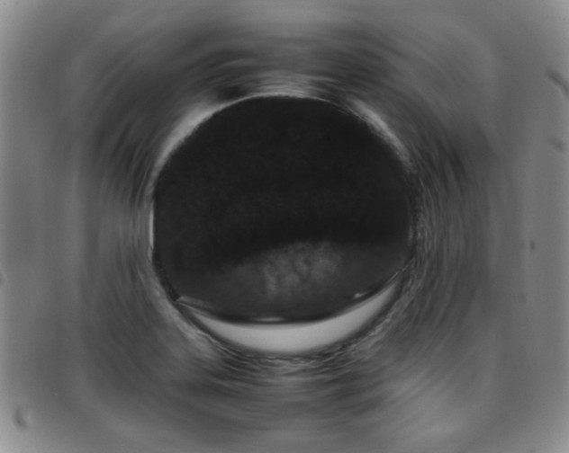 X0000097821323200803141132