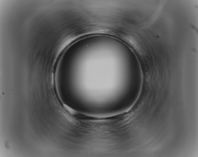 X0000097821324200803141132