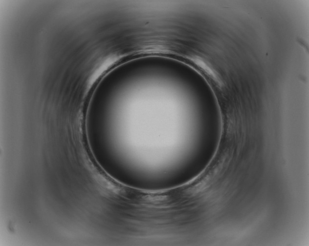 X0000097821325200803141132