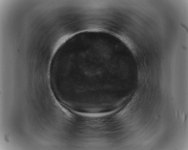 X0000097821327200803141132