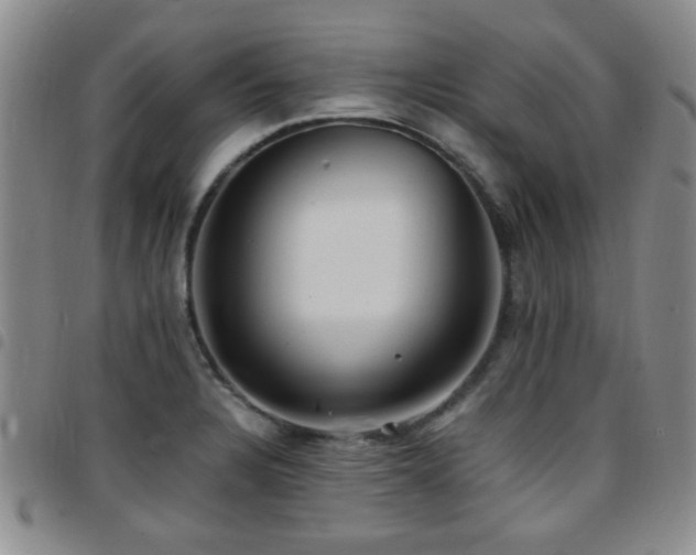 X0000097821328200803141132