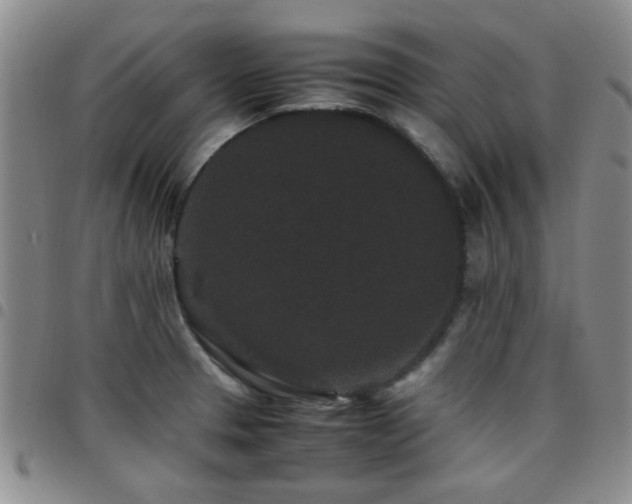 X0000097821329200803141132