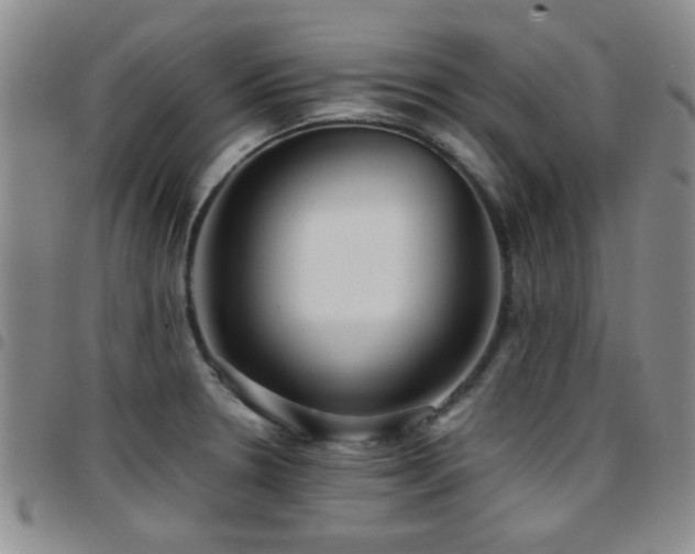 X0000097821330200803141132